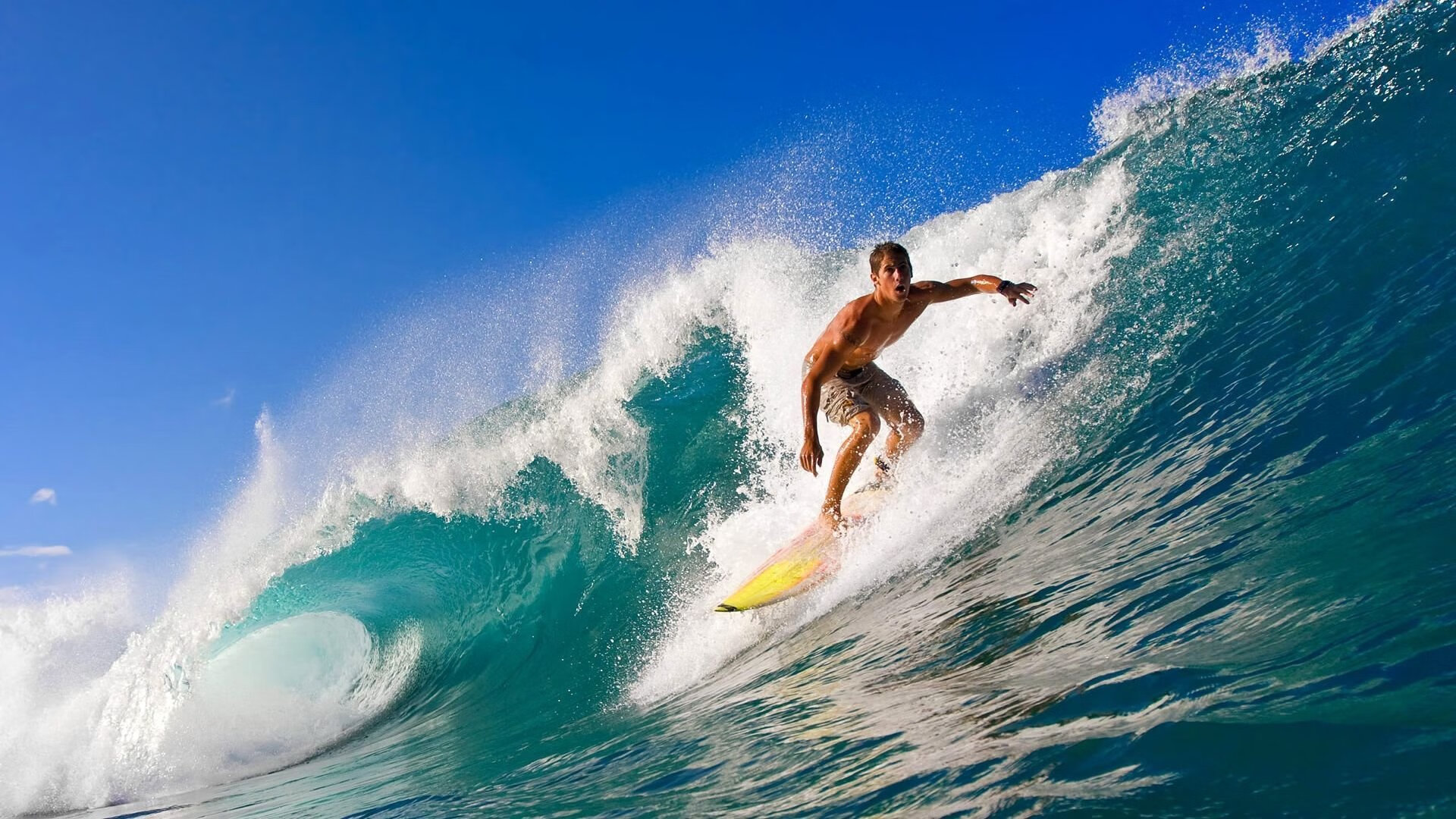 体育新闻中心逆袭冠军之路，体育夺冠新闻